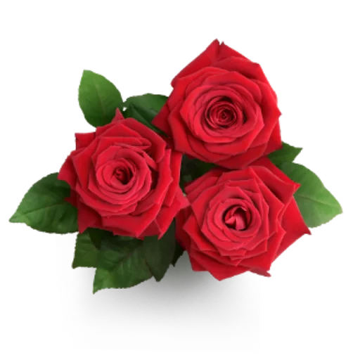 Sticker @uicosplay <-- cosplay channel - 1