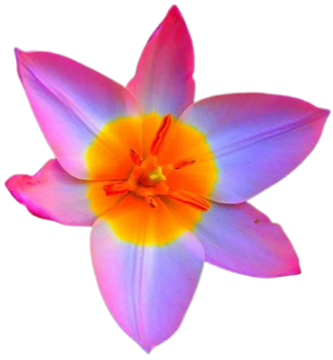 Sticker @uicosplay <-- cosplay channel - 0