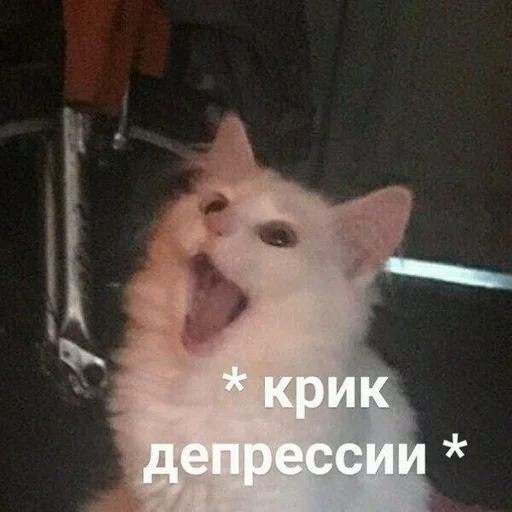 Стикер Flowhol_by_fStikBot - 1