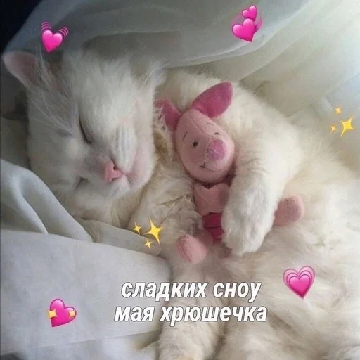 Sticker Cdftwi :: @fStikBot - 11