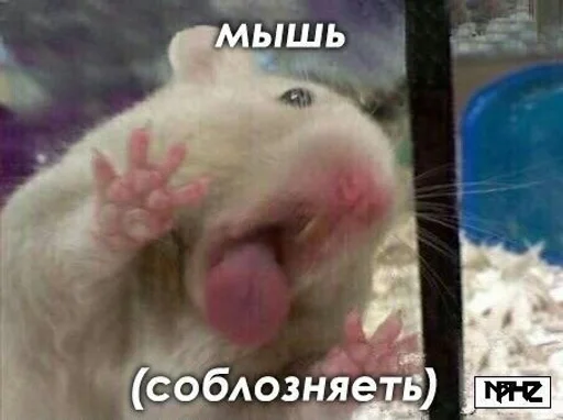 Sticker Cdftwi :: @fStikBot - 3