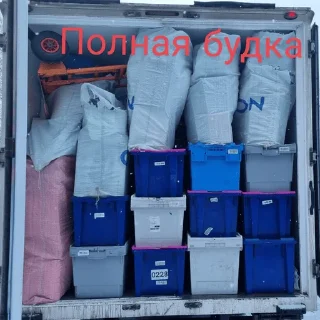 Стикер ФлудОзон - 2