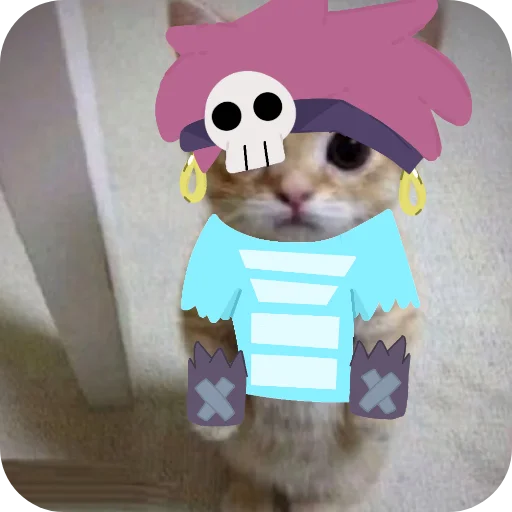 флуд видде котиков - 