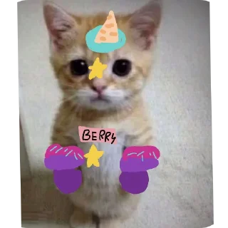 Стикер флуд видде котиков - 3