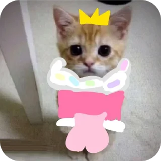 Стикер флуд видде котиков - 1