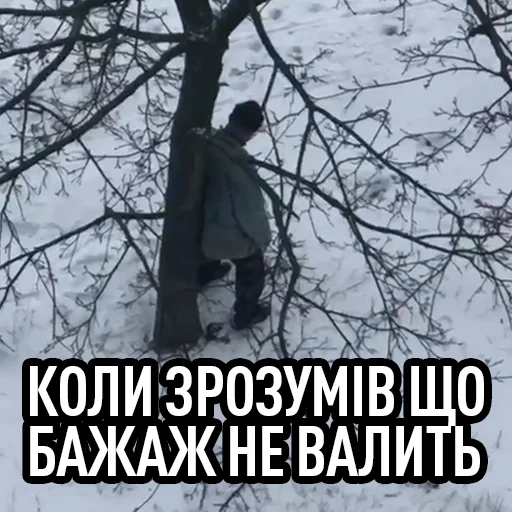 СМС дерево на открытом воздухе
