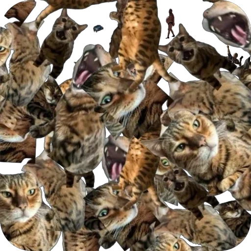 Стикер FlyLind - 1