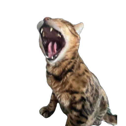 Стикер FlyLind - 1