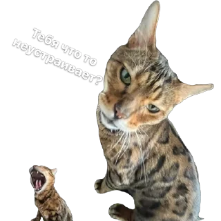 Sticker Fly Lind - 1