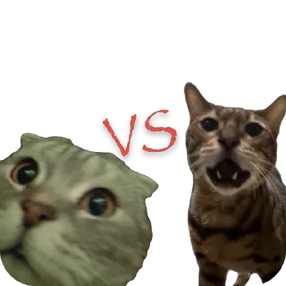 Sticker Fly Lind - 7