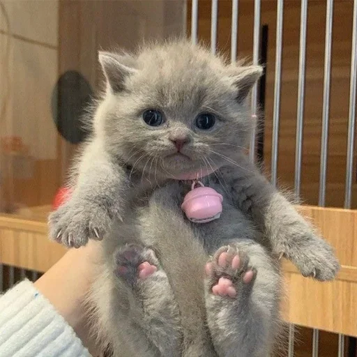 Sticker FnIBMINmttPxKn_by_stickers_stealer_bot - 1