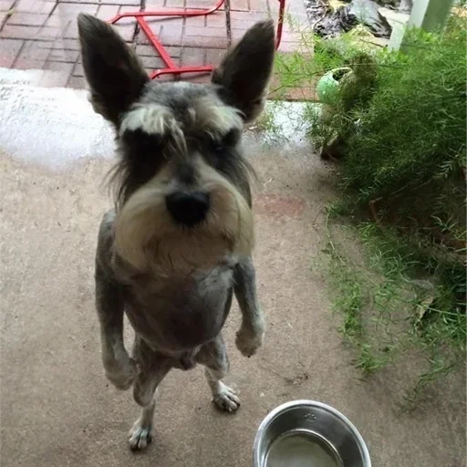 Sticker FnIBMINmttPxKn_by_stickers_stealer_bot - 1