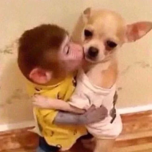 Sticker FnIBMINmttPxKn_by_stickers_stealer_bot - 1