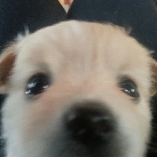 Sticker FnIBMINmttPxKn_by_stickers_stealer_bot - 1