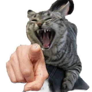 Стикер Fn_stkr - 5