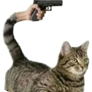 Стикер Fn_stkr - 7