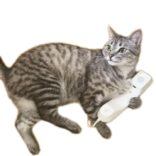 Стикер Fn_stkr - 3