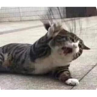 Стикер Fn_stkr - 9