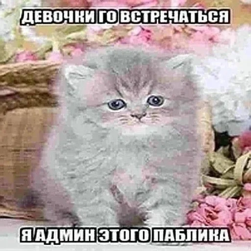 Больше стиков тут: @stikery4 - 