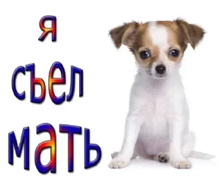 Стикер Больше стиков тут: @stikery4 - 10