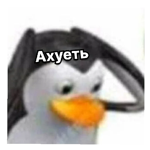 Стикер Fofgs - 1