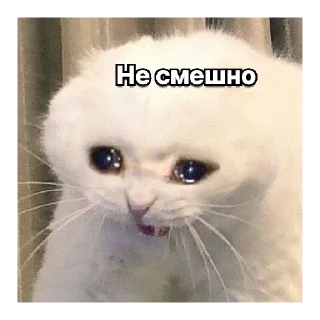 Стикер #1 сигма - 7