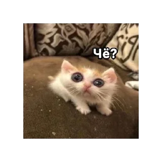 Стикер #1 сигма - 8