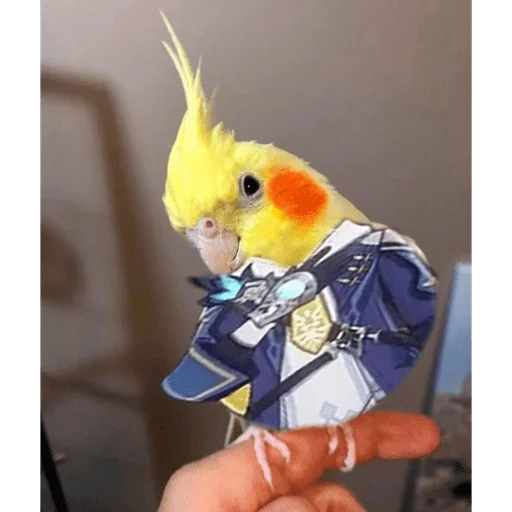 Стикер FooD1qqq - 1