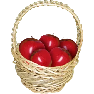 Sticker Fruit & Veg Gifts @PunjabiSticker - 3