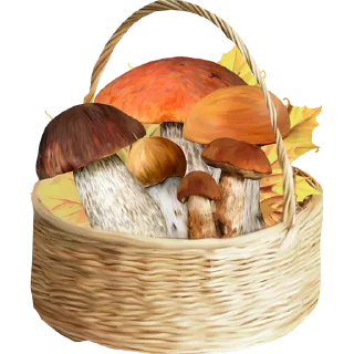 Sticker Fruit & Veg Gifts @PunjabiSticker - 6