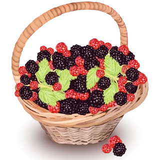 Sticker Fruit & Veg Gifts @PunjabiSticker - 10