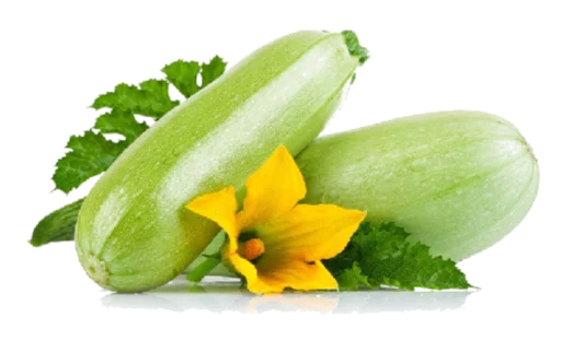 цветок растение овощ