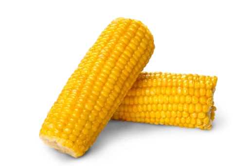 corn food corn on the cob