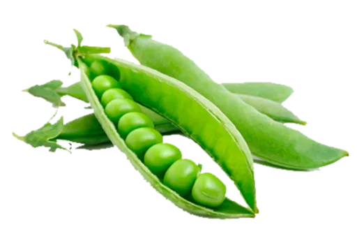 овощ горох производить