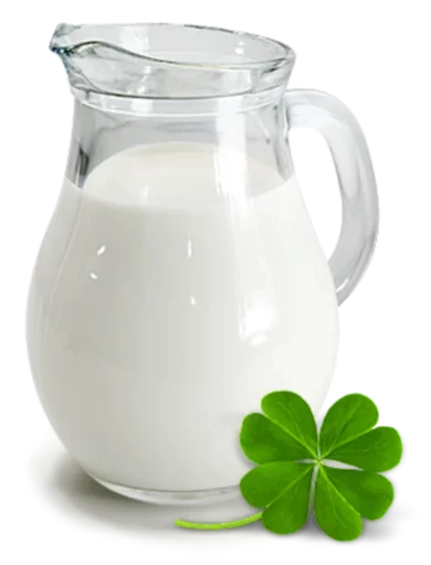 кувшин крышка сервировка