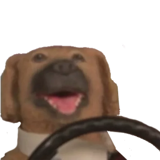 Sticker Foooogyyyy - 1