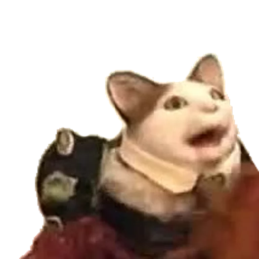 Sticker Foooogyyyy - 1