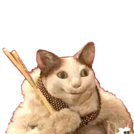 Sticker Foooogyyyy - 1