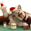 Стикер Hey Fogy - 11