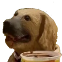 Стикер Hey Fogy - 4