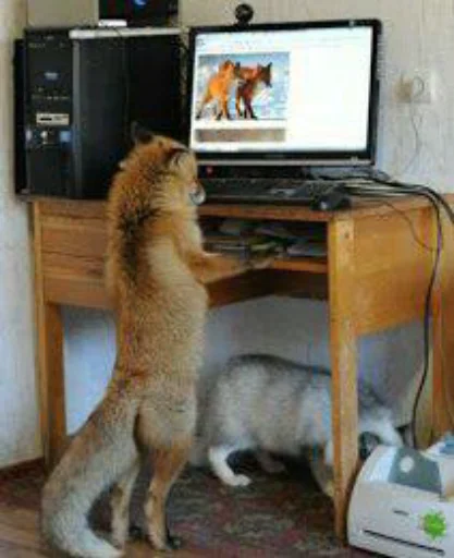 СМС комнатный стена