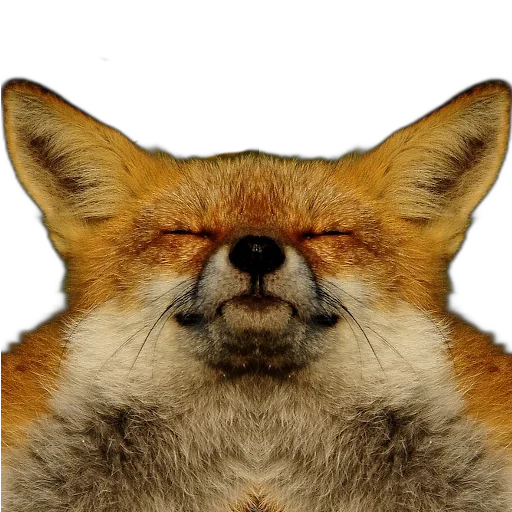 Sticker FopsButNoBackground - 1