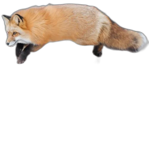 Sticker FopsButNoBackground - 1