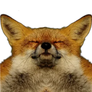 Sticker FopsButNoBackground - 10