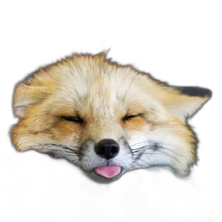 Sticker FopsButNoBackground - 9