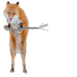 Sticker FopsButNoBackground - 4