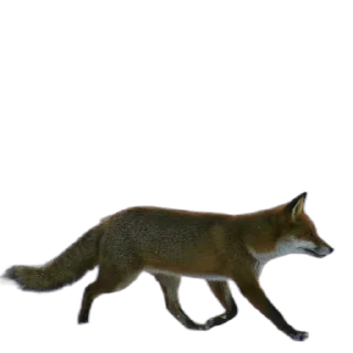 Sticker FopsButNoBackground - 8