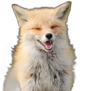 Sticker FopsButNoBackground - 6