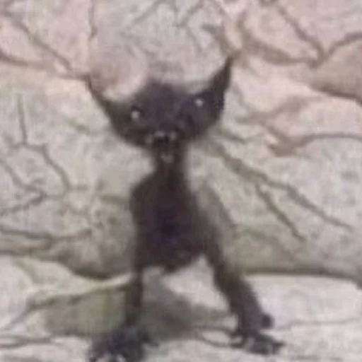 Стикер Чисто два стикера для гомункула - 7