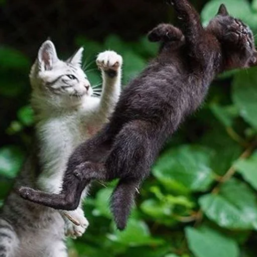 Стикер Чисто два стикера для гомункула - 5